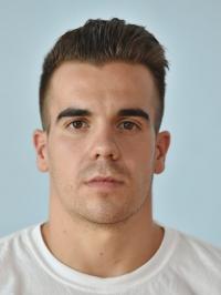 Sokol Ante